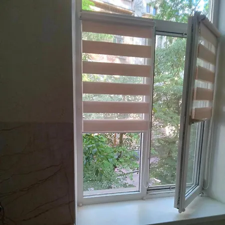 з виглядом на історичний центр львова