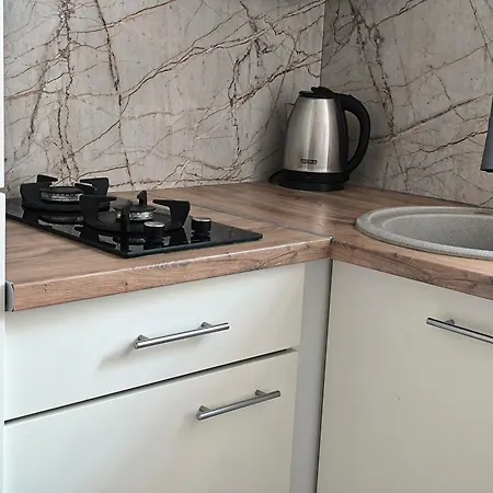 з виглядом на історичний центр львова Apartment