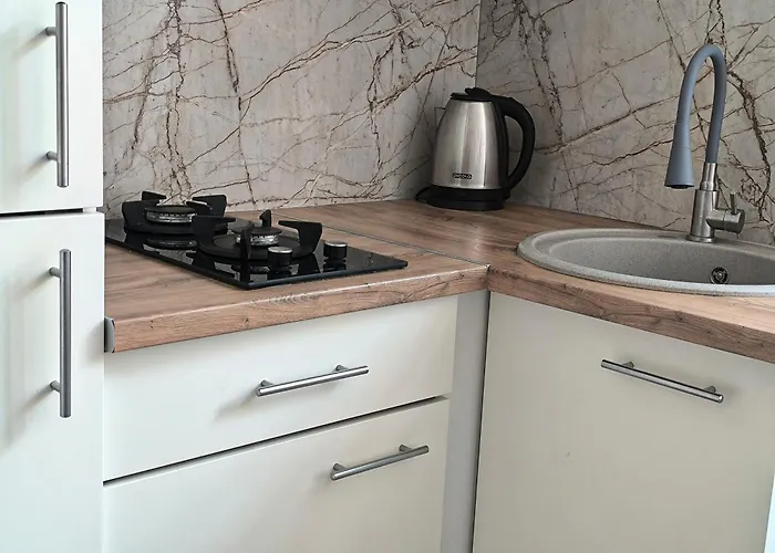 з виглядом на історичний центр львова Apartment