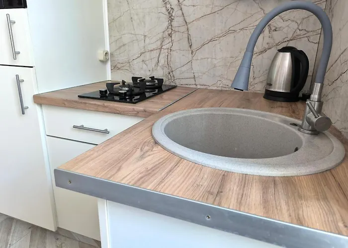 Apartamento з виглядом на історичний центр львова *