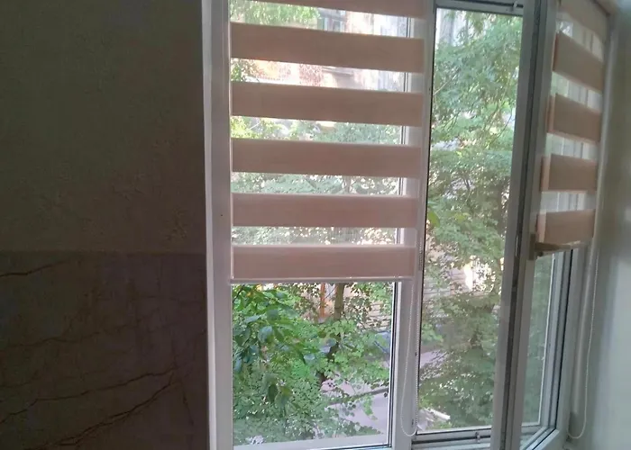 з виглядом на історичний центр львова